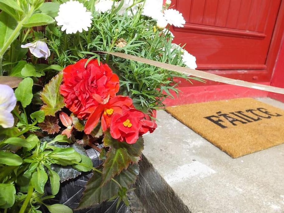 The Cosy Farm Cottage, Donegal Inver 외부 사진