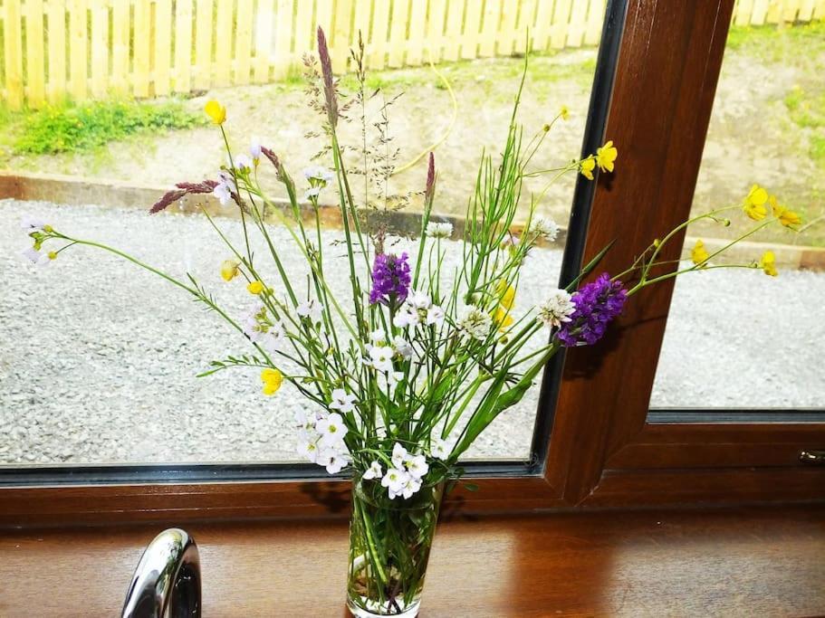 The Cosy Farm Cottage, Donegal Inver 외부 사진