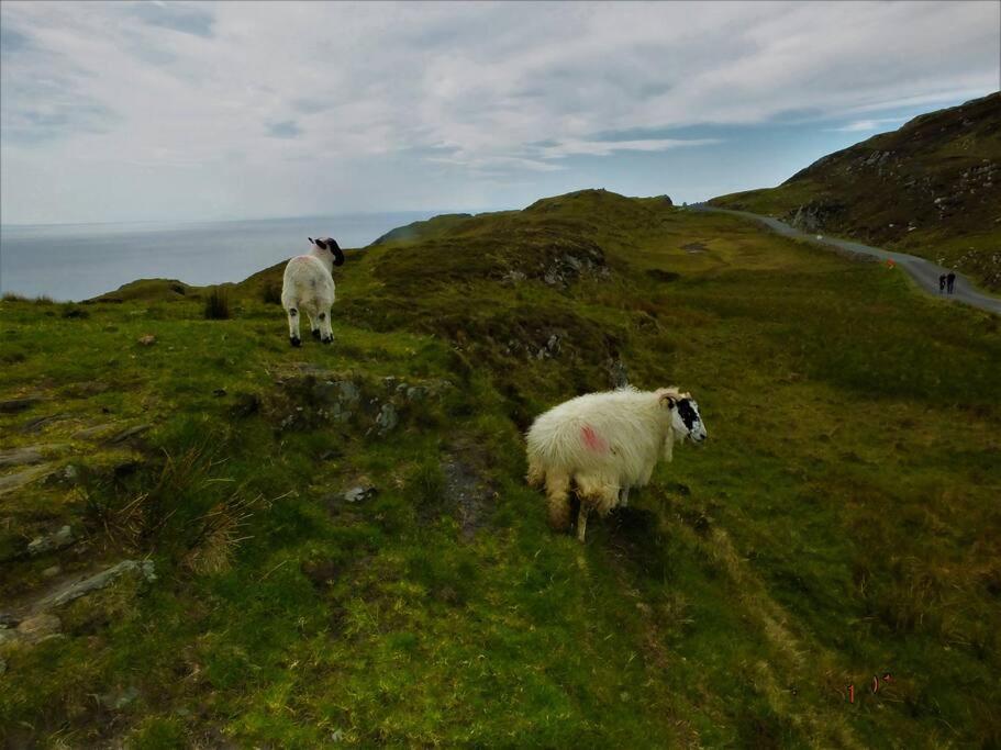 The Cosy Farm Cottage, Donegal Inver 외부 사진